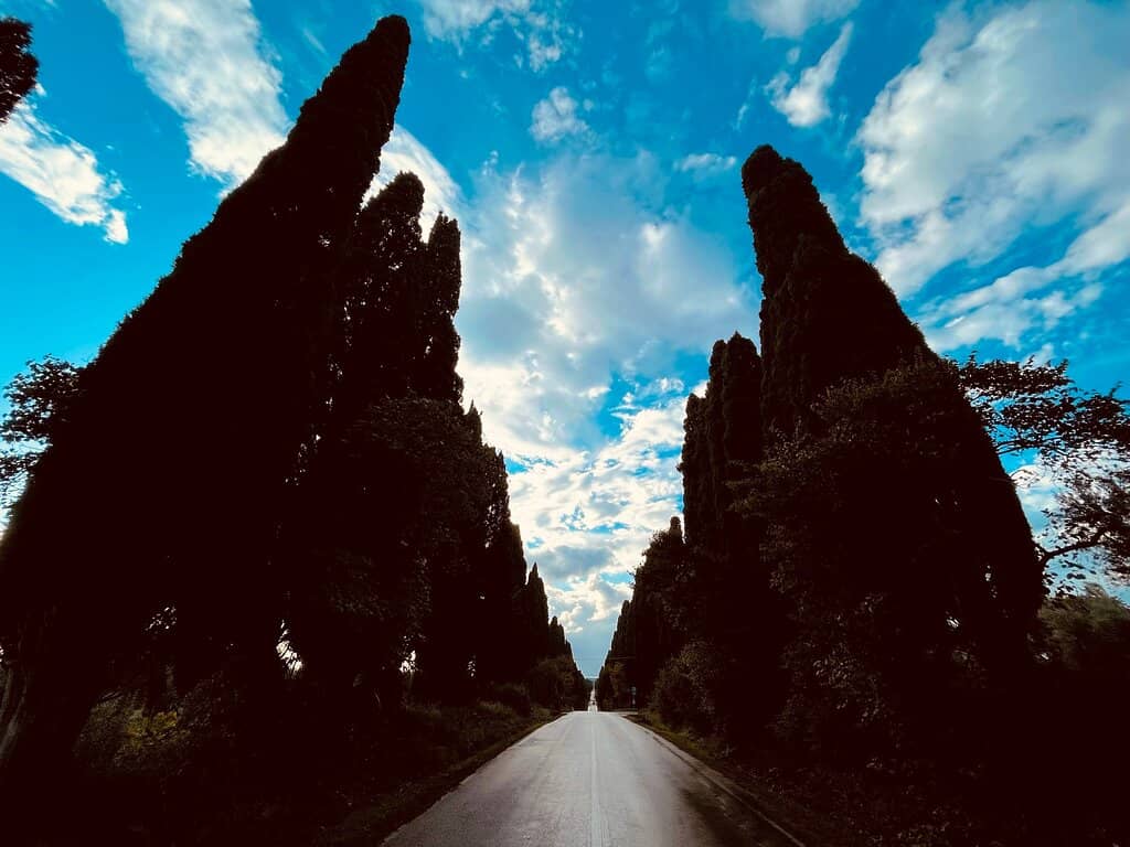 Vertical photo