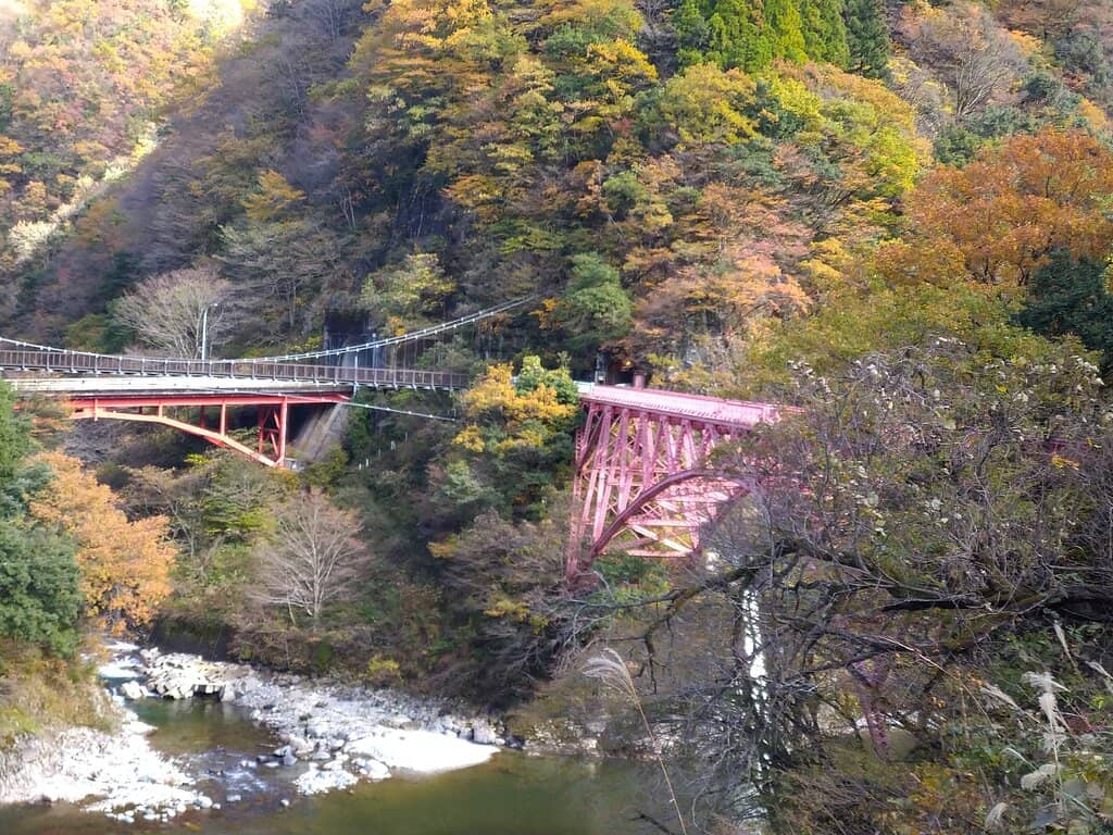Autumn Foliage Spectacle