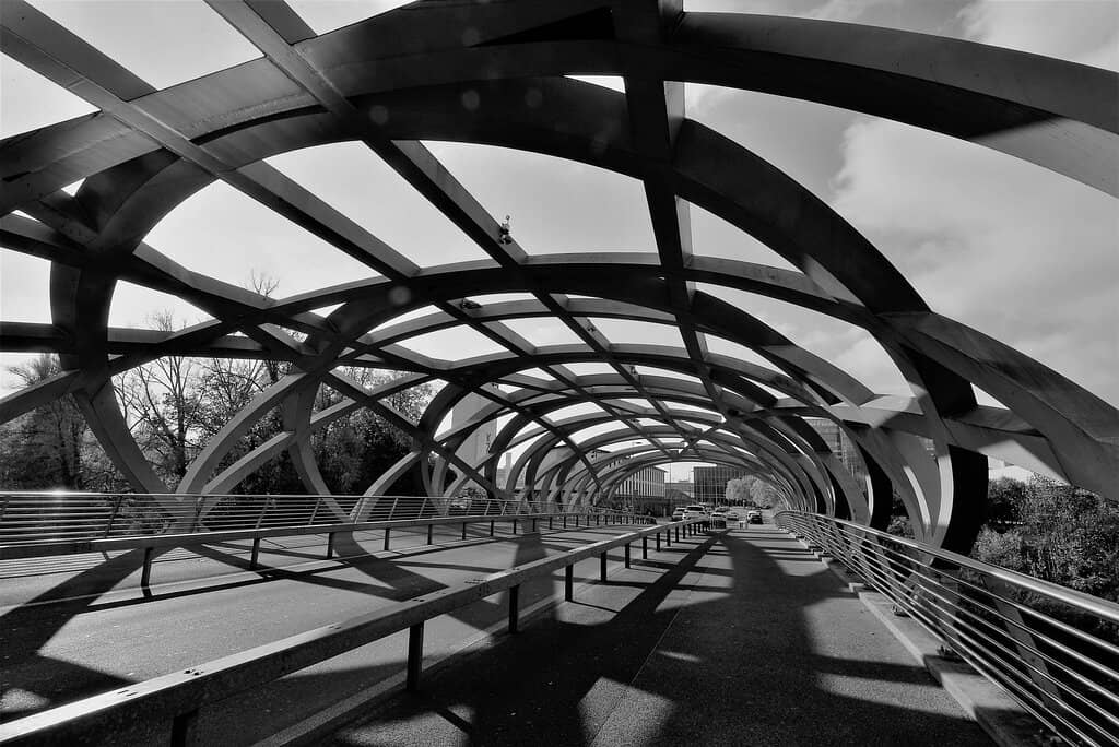 The 'Bird's Nest' Design