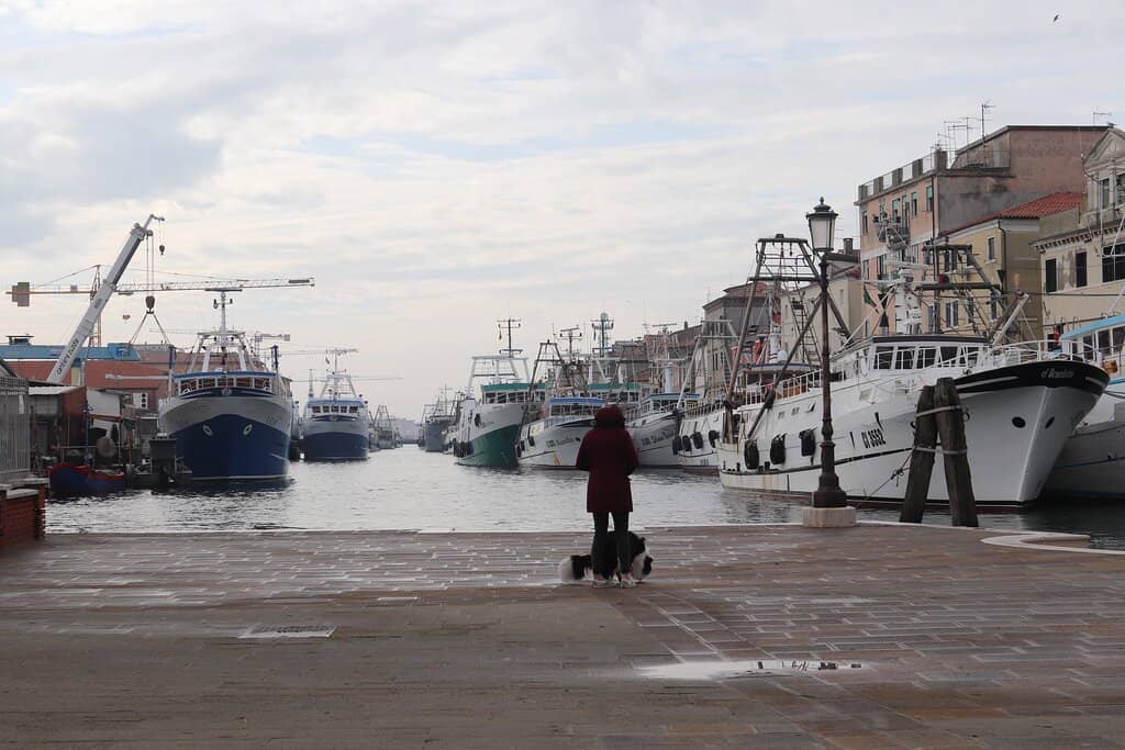 The Bridge to the Island