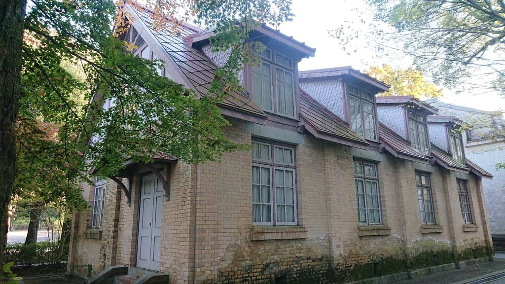 Tropical Butterflies