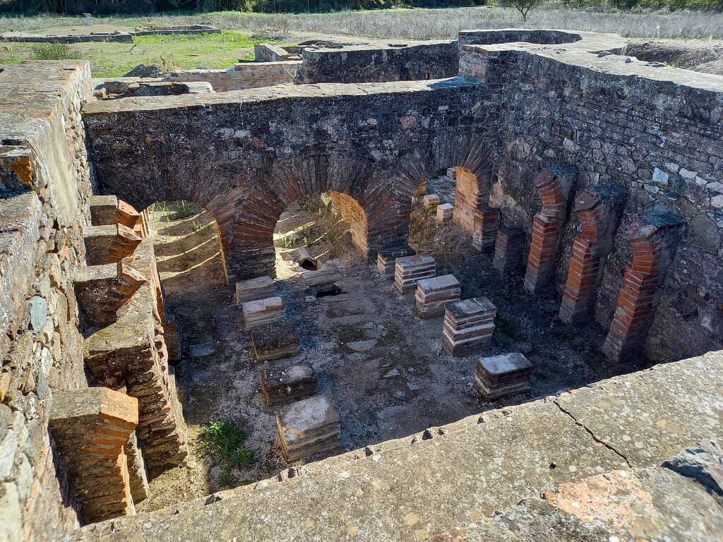 Visitor's Center Insights