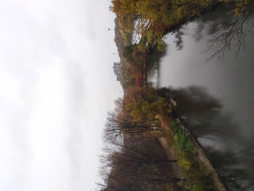 Vintage Trolley Views