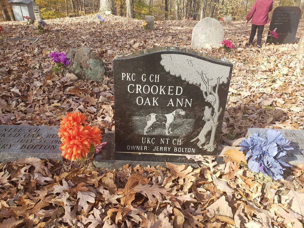 Guestbook & Tokens of Respect