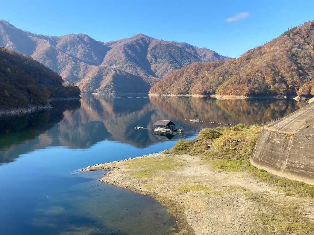 Autumn Foliage Spectacle