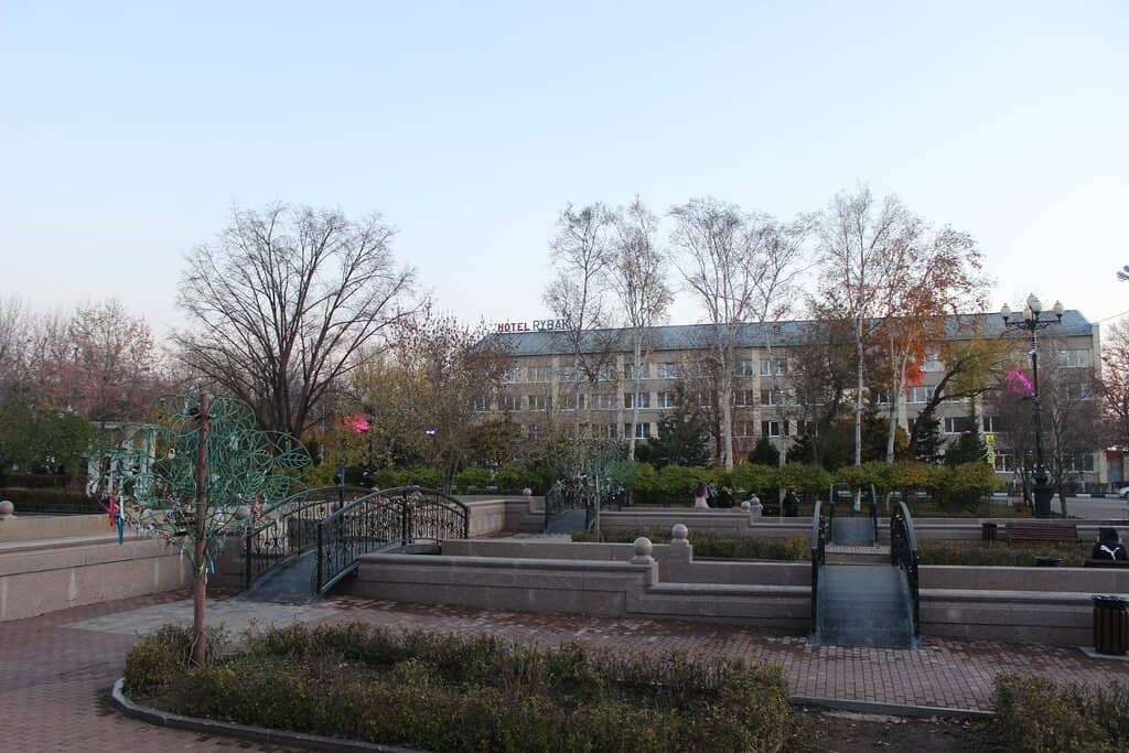 Blooming Rose Gardens