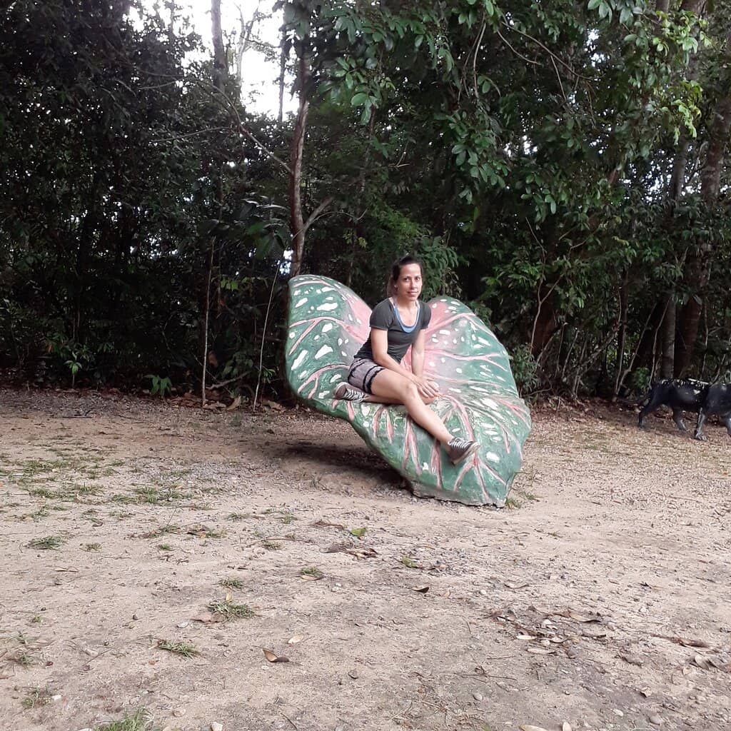 Amphitheater & Library