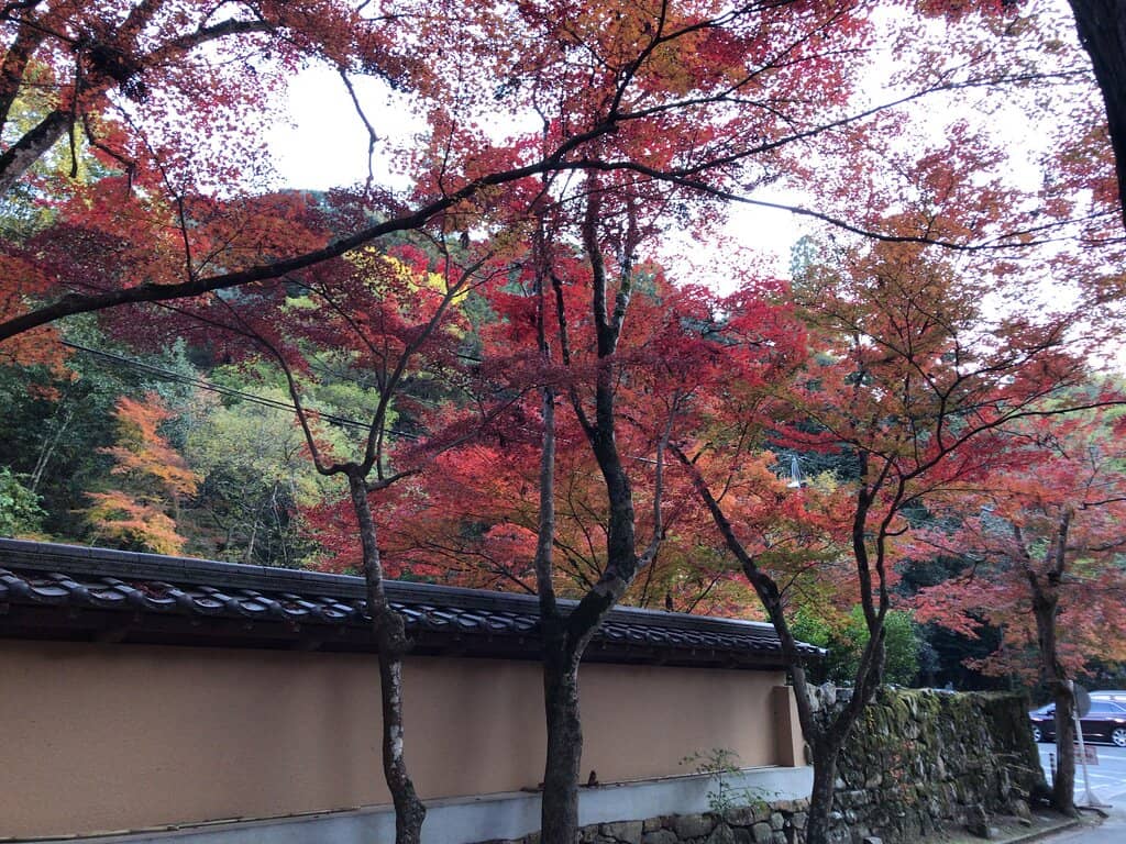 Zen Garden Serenity