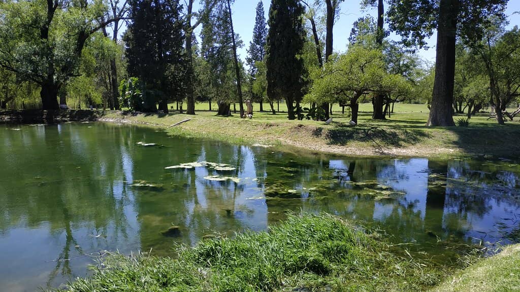 Sacred Art & Archeology