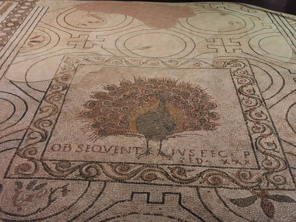 Ancient Mosaic Floors
