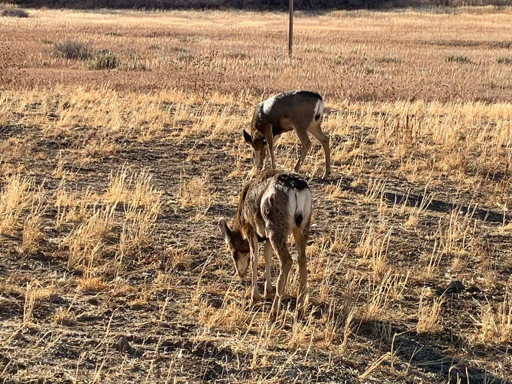 Fountain Valley Trail