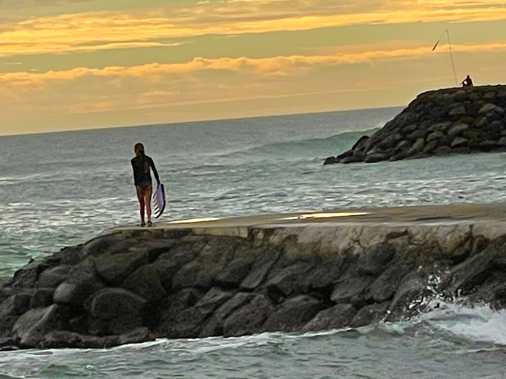 Whale Watching Tours