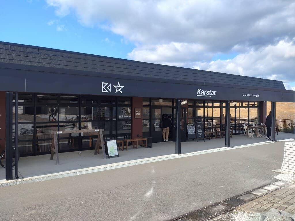 Pear Soft Serve Ice Cream