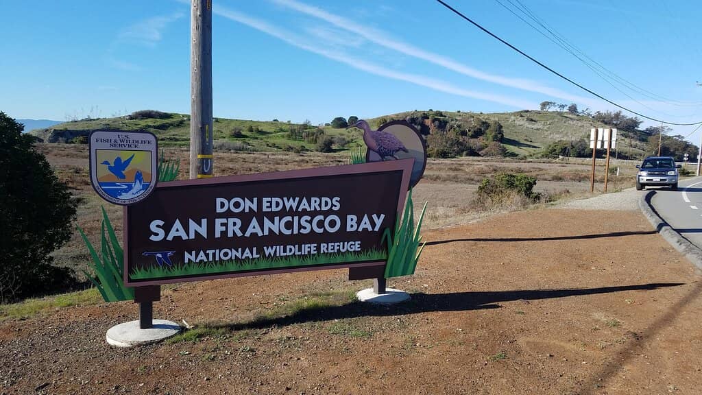 Dumbarton Bridge Views