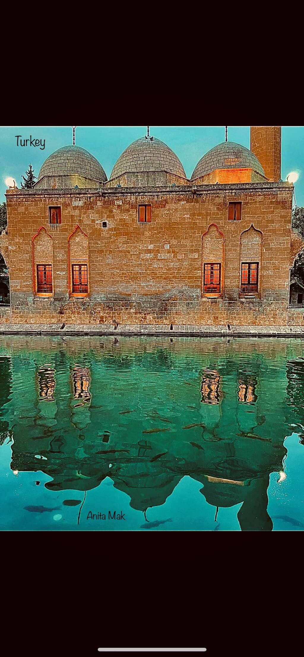 Vertical photo