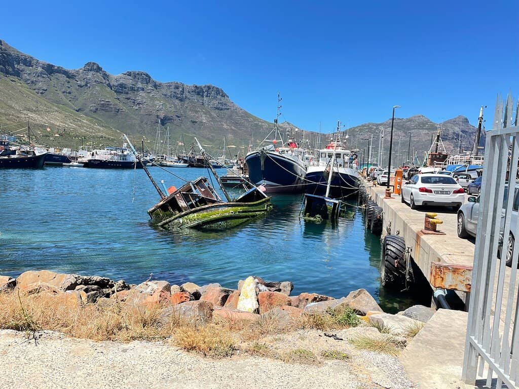 Marine Life Encounters