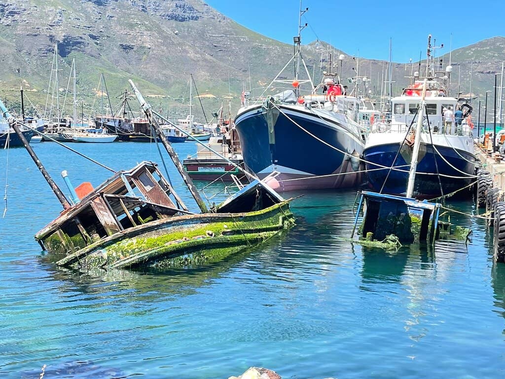 Spectacular Coastal Views