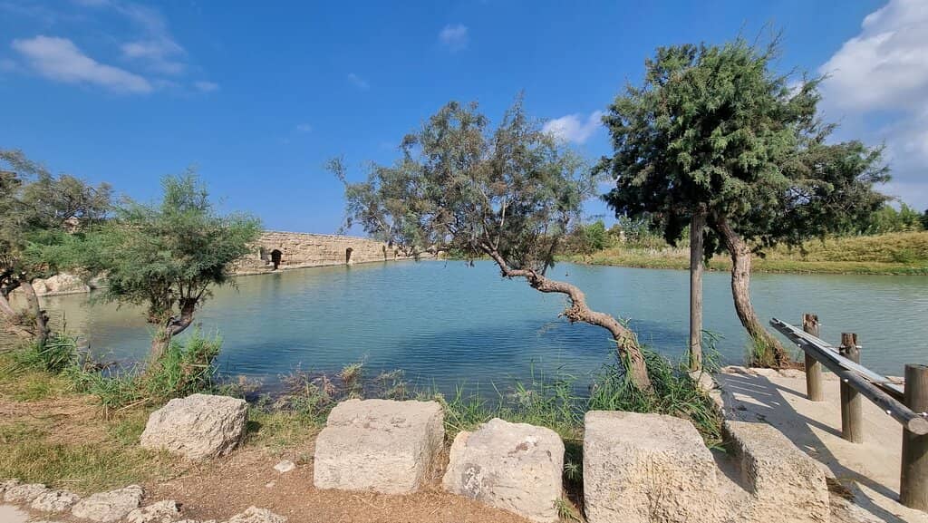 Taninim Stream