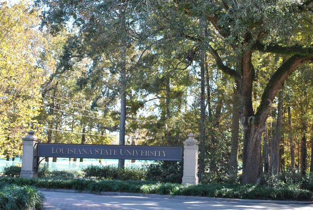LSU Museum of Art