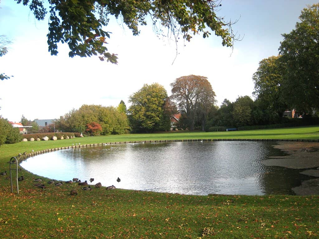 Stavanger's Urban Oasis