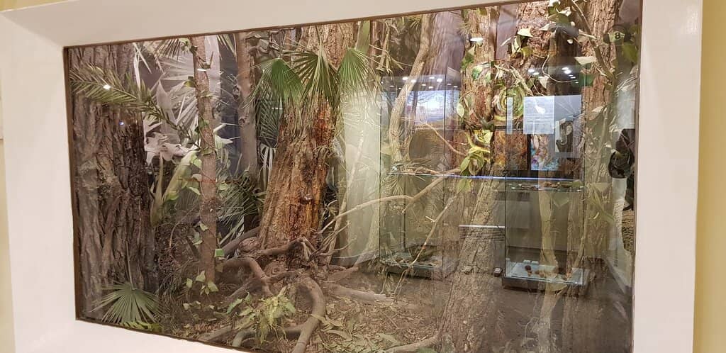 Ancient Amber Artifacts