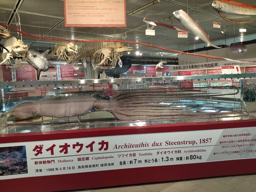 Geological Formations