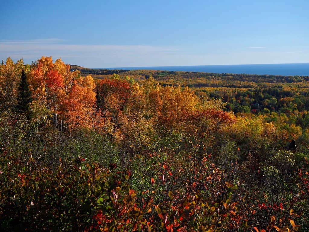 Raptor Banding Demonstrations
