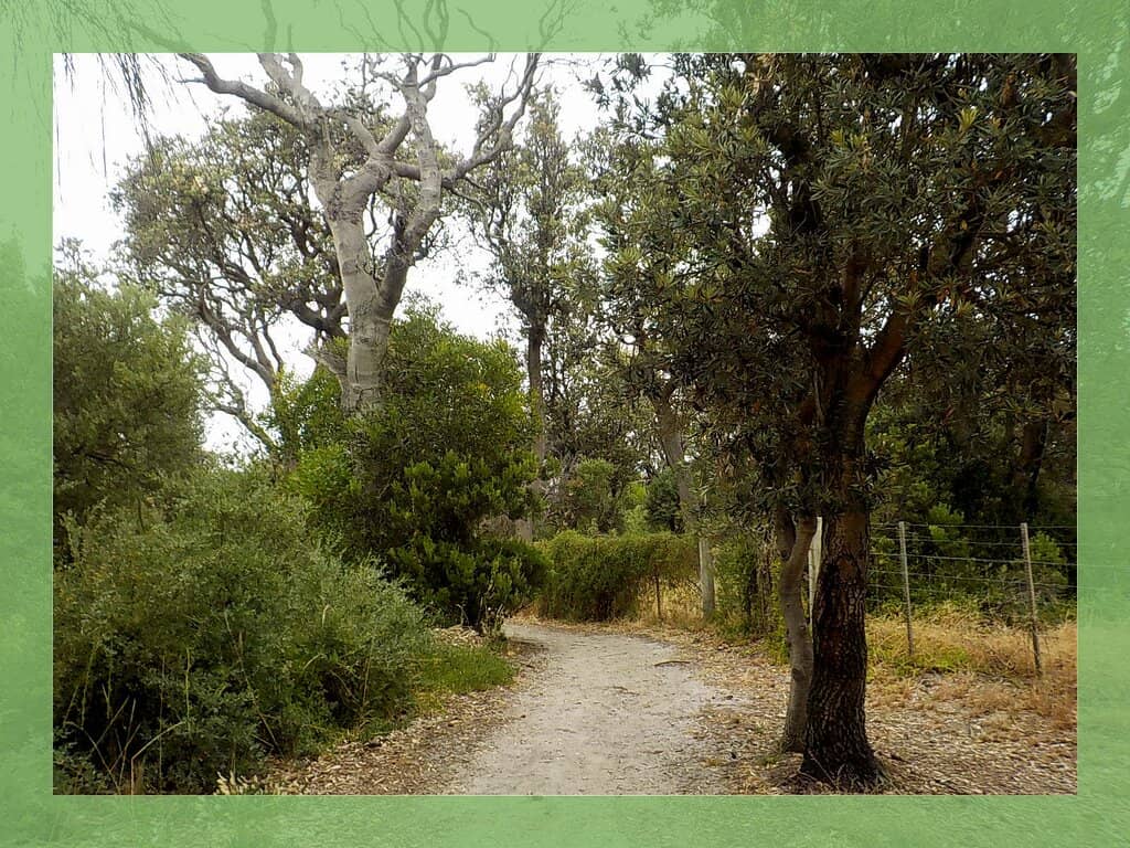 Seaford Nature Reserve