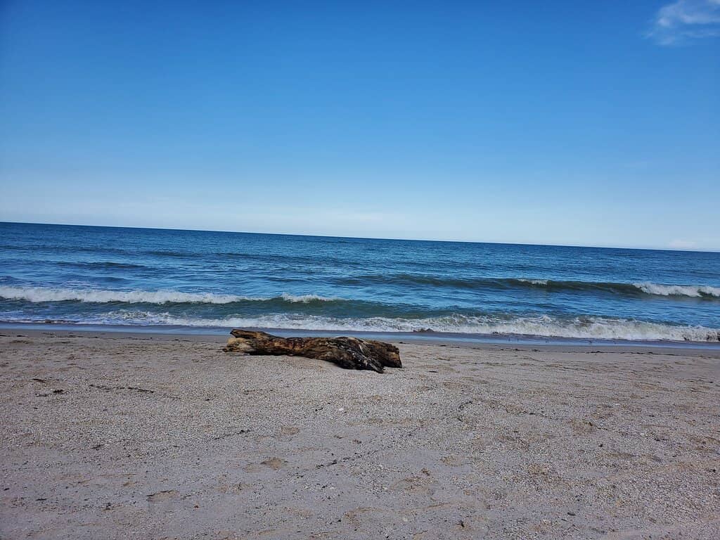 Sea Turtle Nesting Sanctuary