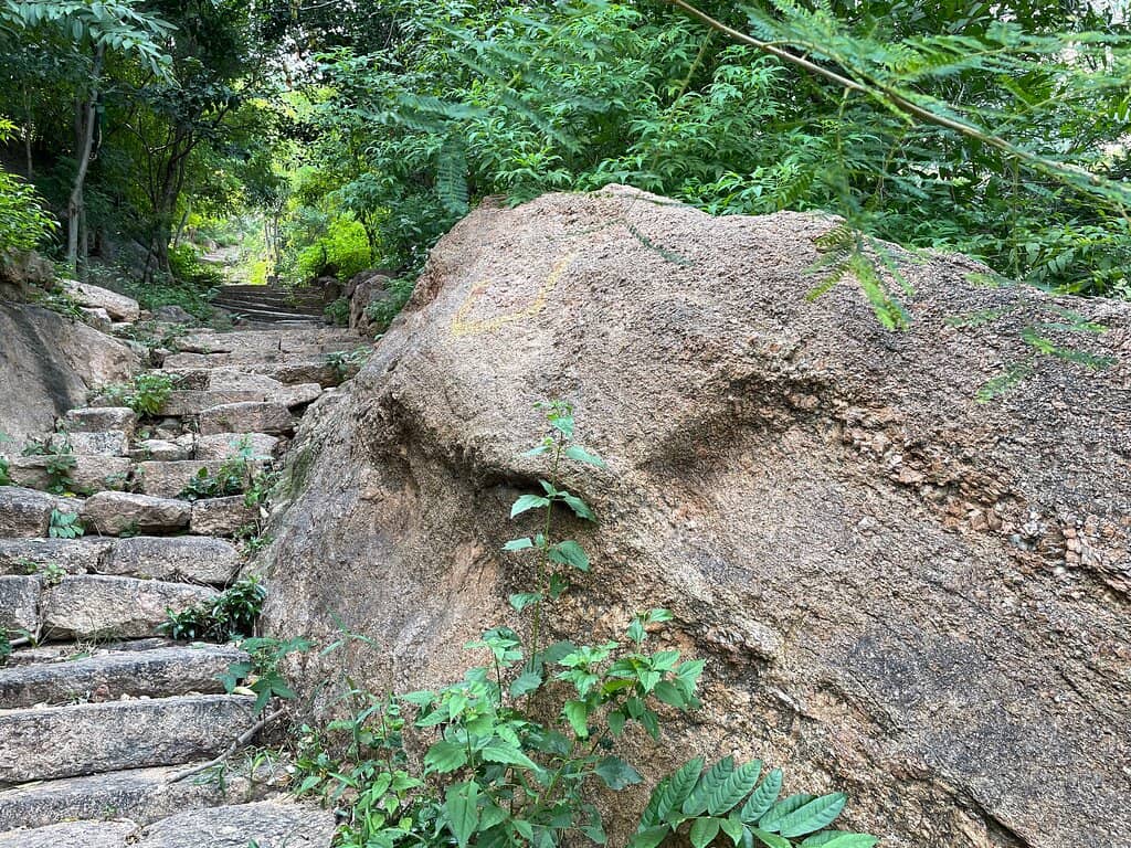 Historic Fort Remains