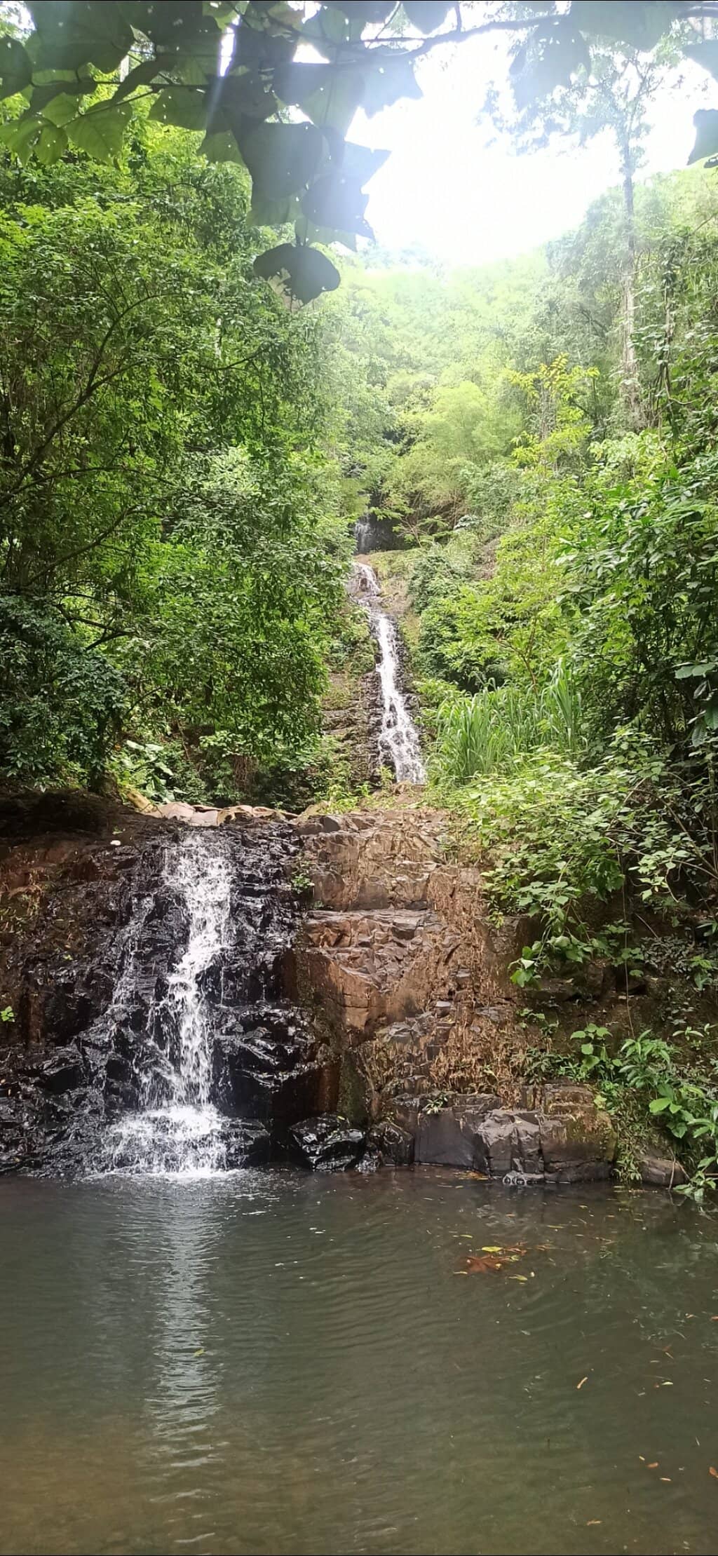 Nature Trails