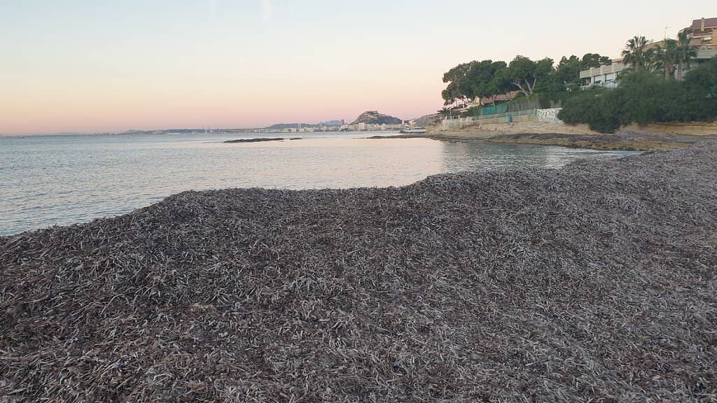 Faro del Cabo de las Huertas