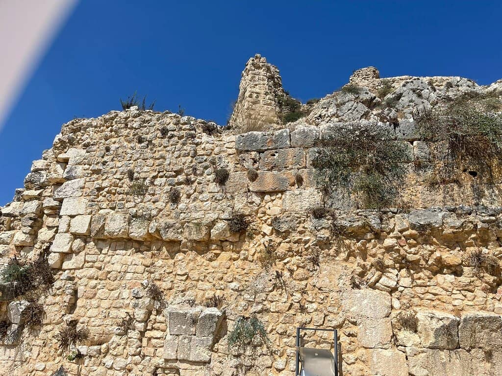 Scenic Walking Trails