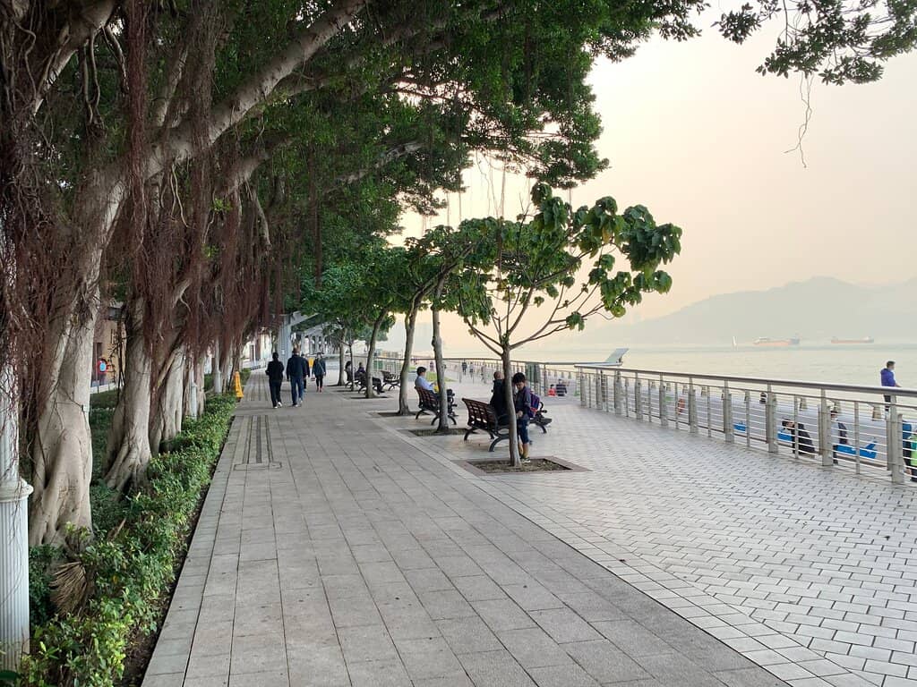 Leisurely Strolls & Pet Play