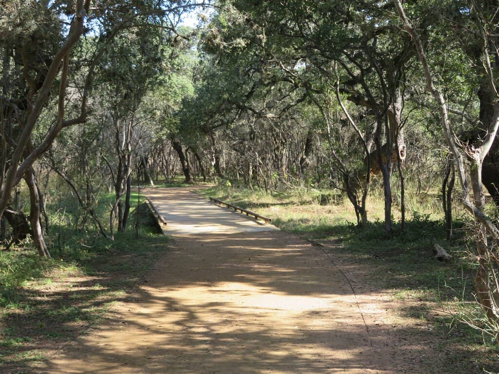 Dog Parks