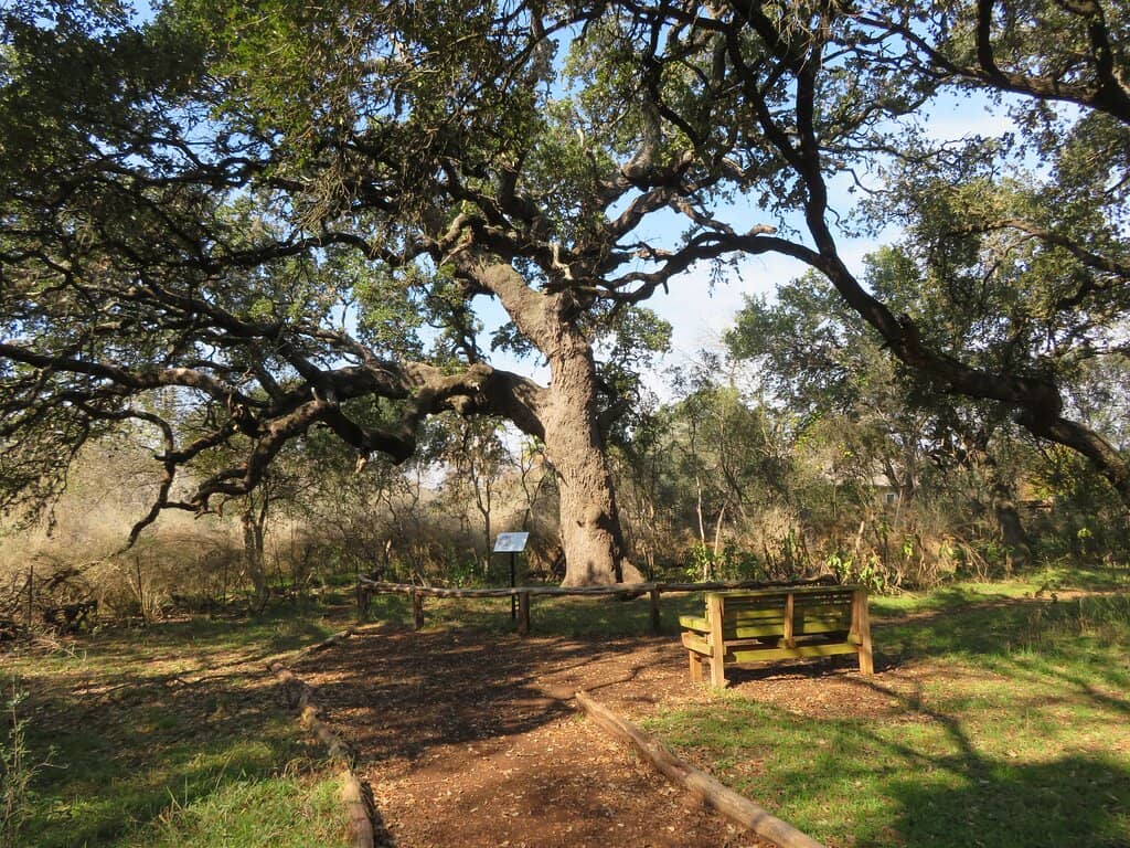Robert L.B. Tobin Land Bridge