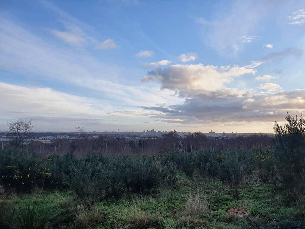 Woodland Walks