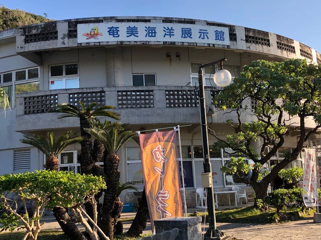 Family-Friendly Amenities