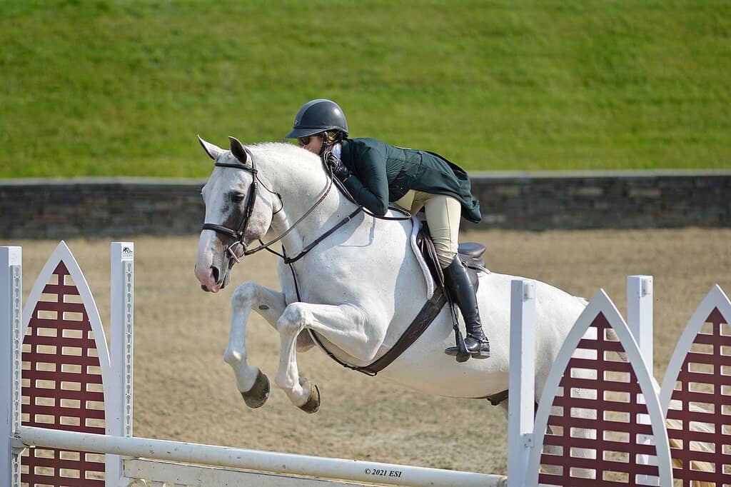 Hunter Derbies
