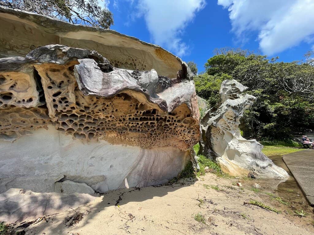 Harbor & City Skyline Views