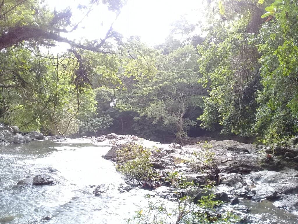 Jungle Trek Adventure