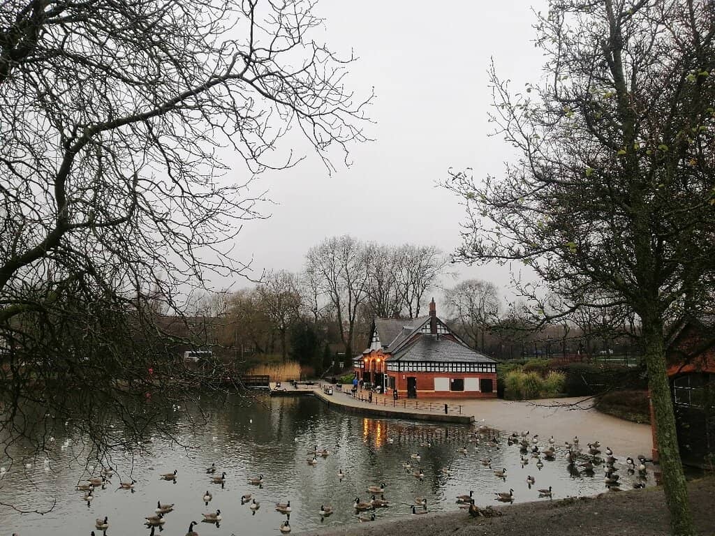 Adventure Playground