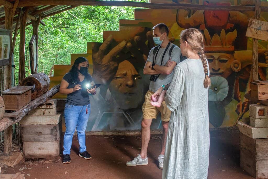 Mayan Cultural Immersion