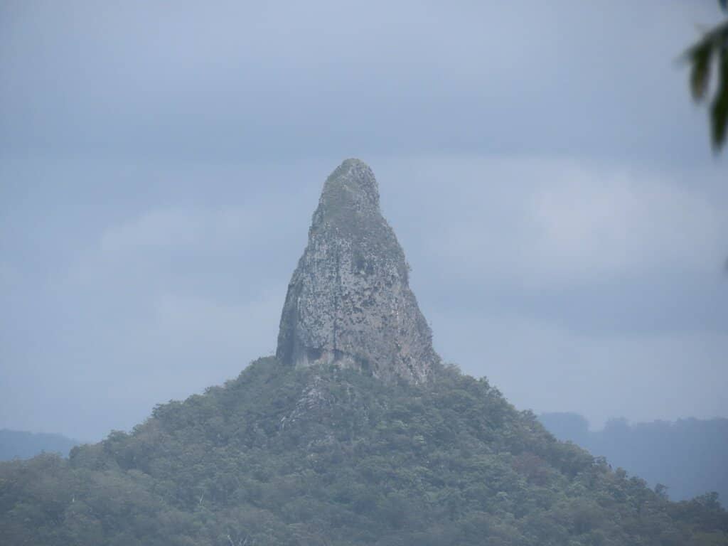 Toddler-Friendly Adventure