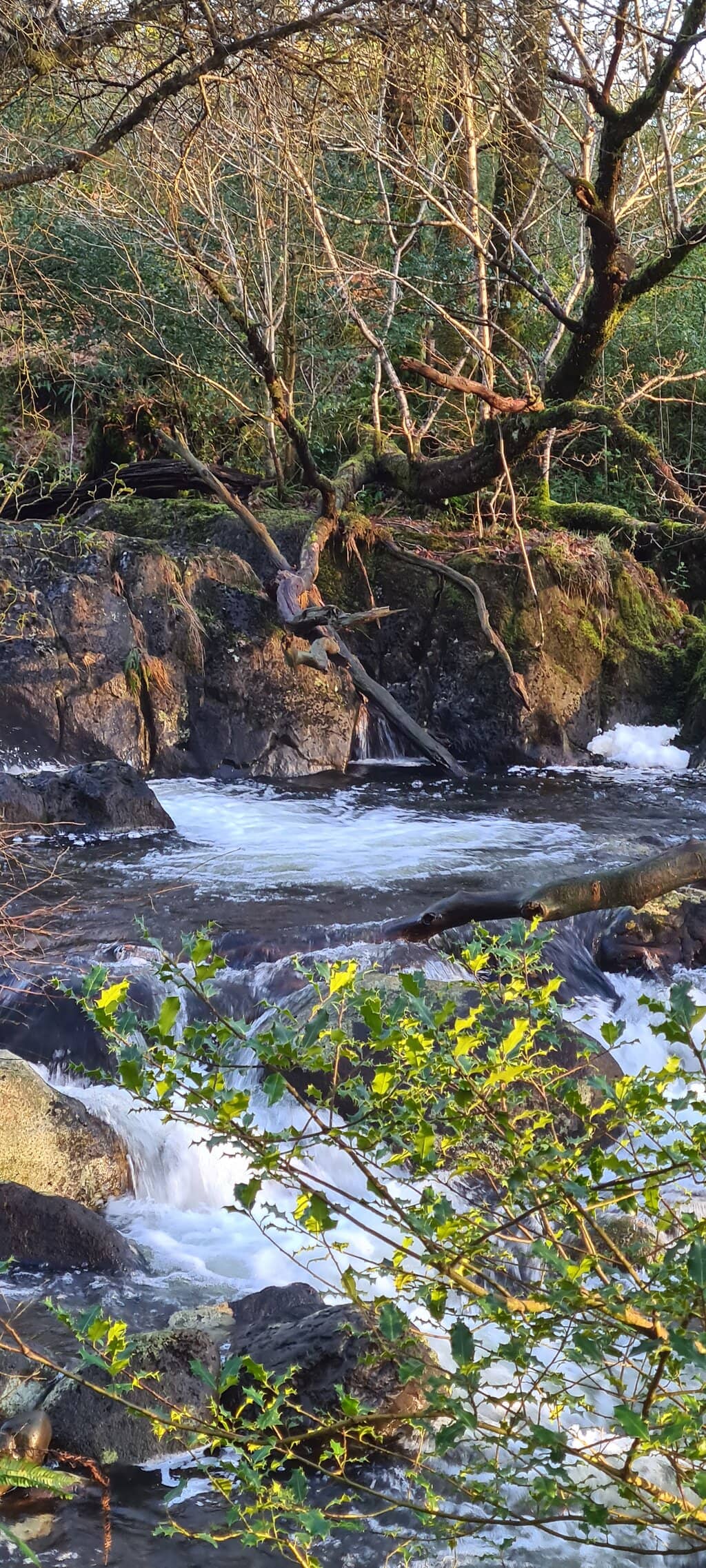 Nearby Waterfalls