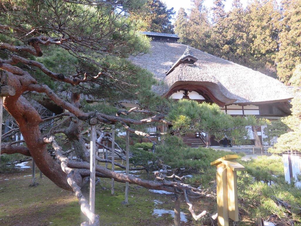 Autumn Foliage