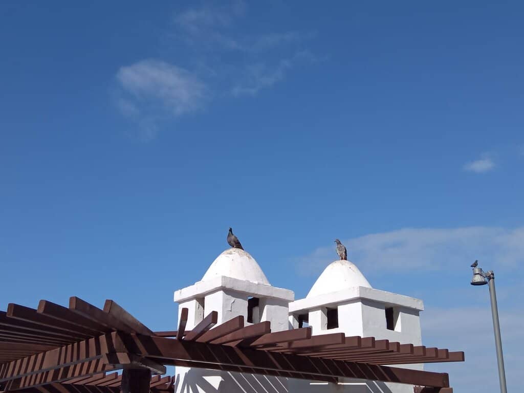 Ocean Wave Spectacle