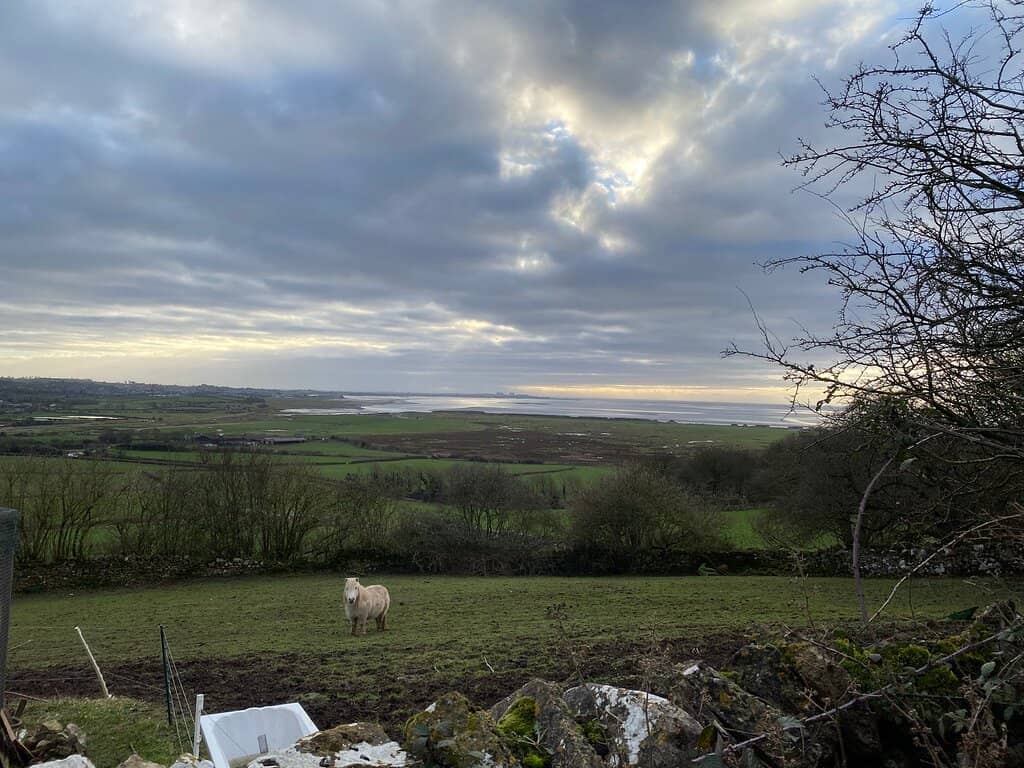Limestone Quarry Edges