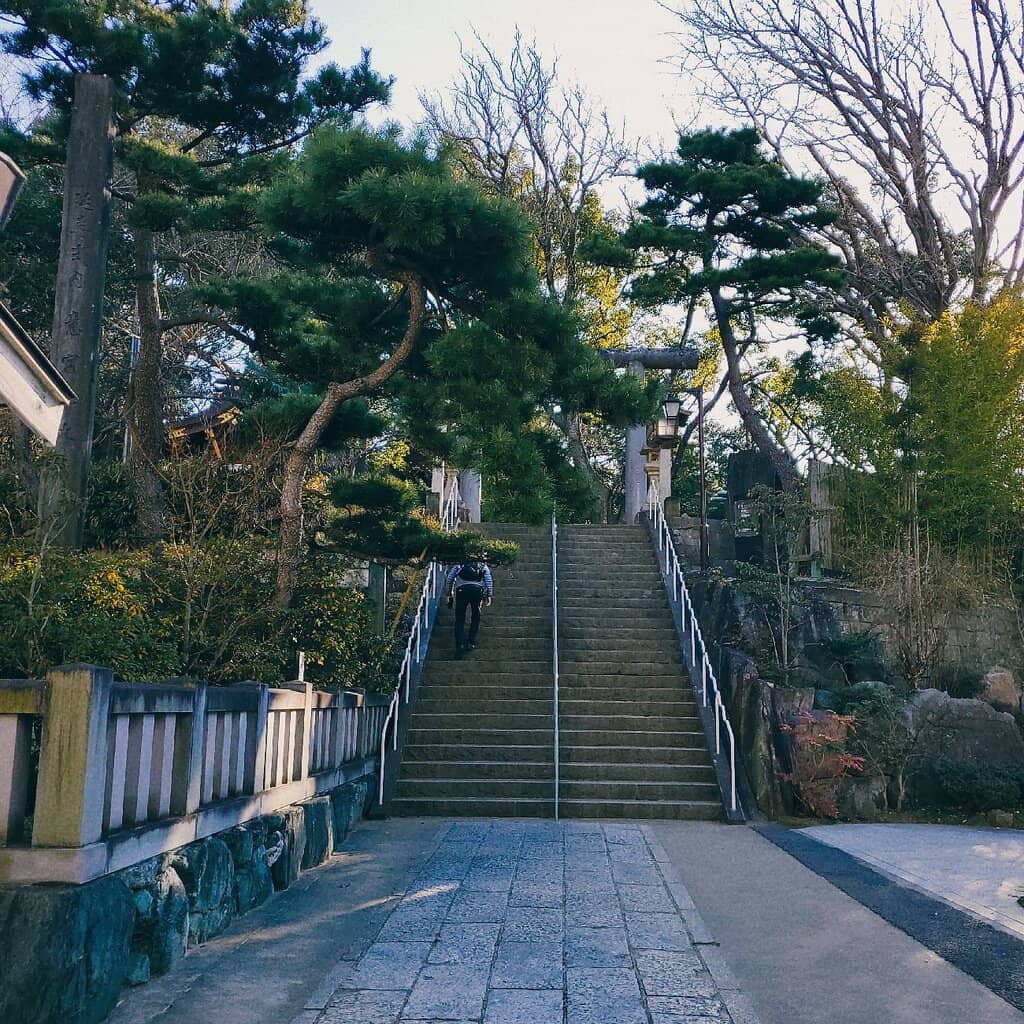 Vertical photo