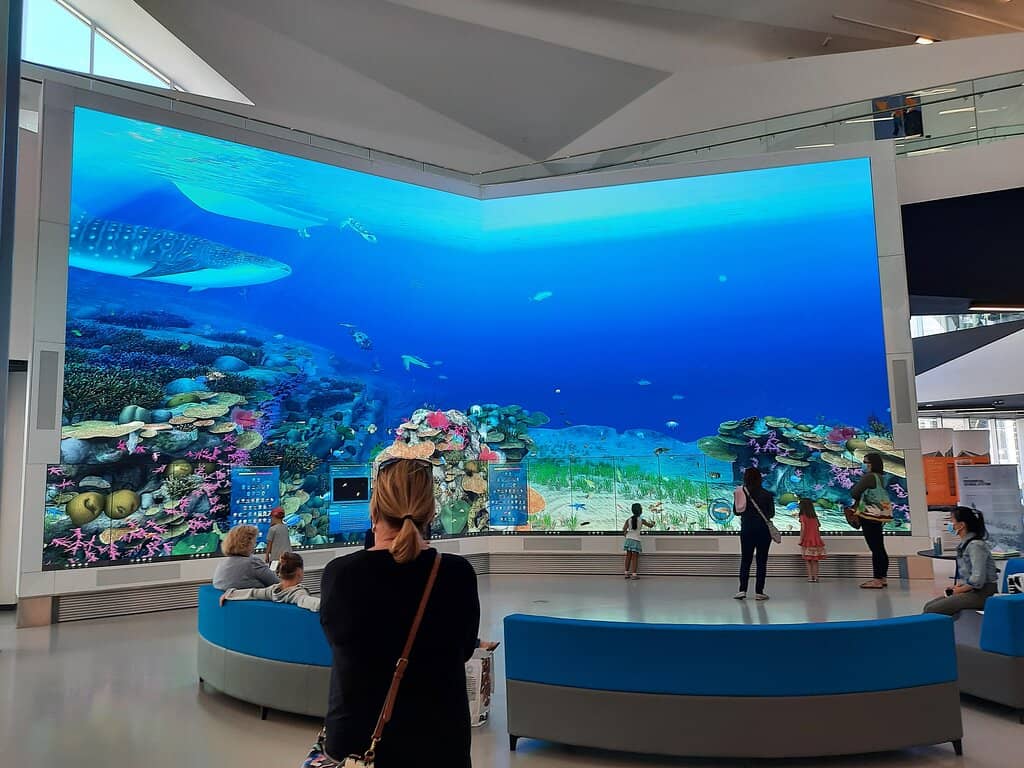 Children's Discovery Area